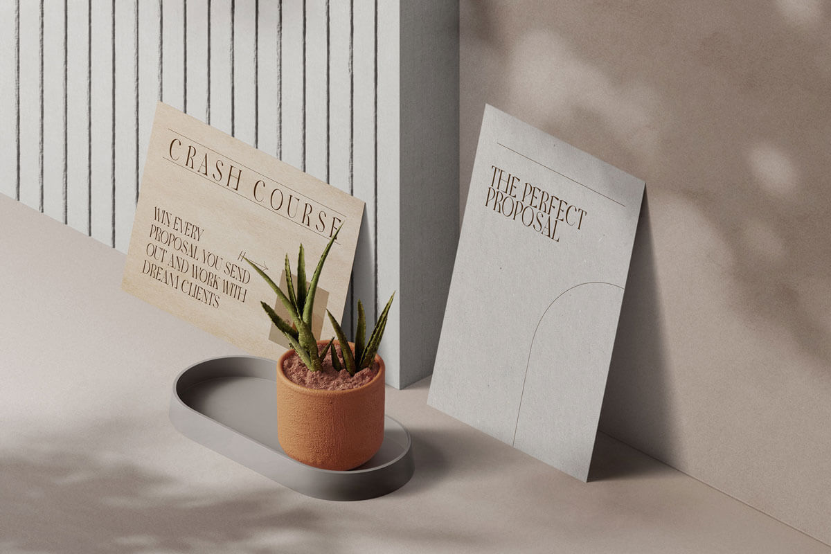 2 isometric papers laid on a wall with a cactus plant in front.